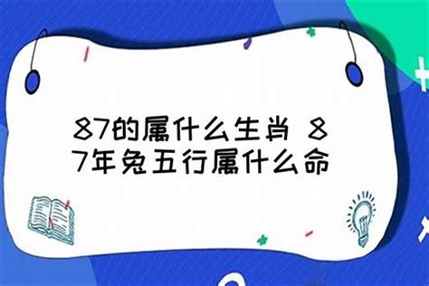 1975 兔 五行|属兔五行属什么命 属兔人的五行缺什么